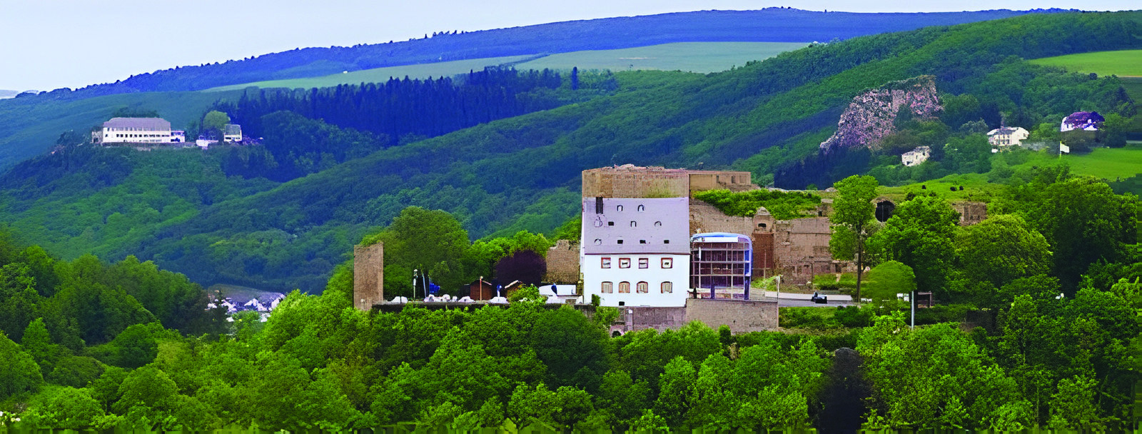 Kirn an der Nahe mit Kyrburg, Blick vom Hang